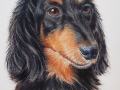 DeDe