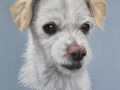 Fritz-scaled