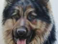 LongCostGSD-e1708365515281